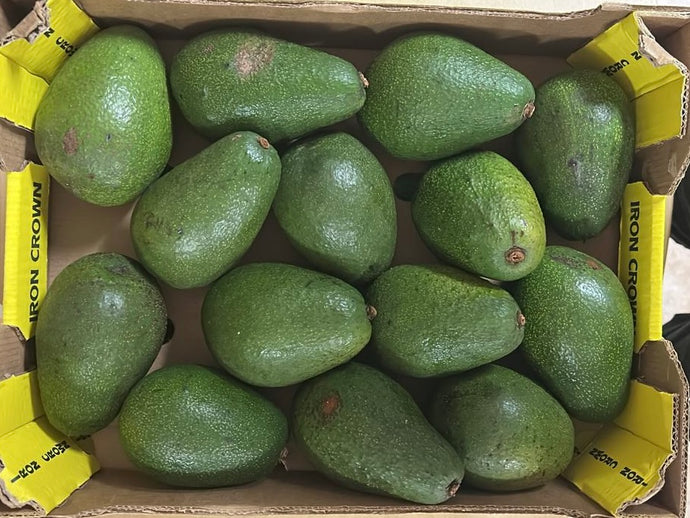Avo Box