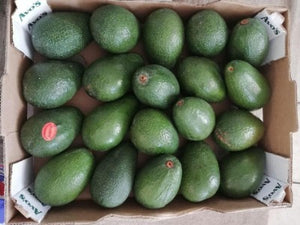 Avo Box of 18