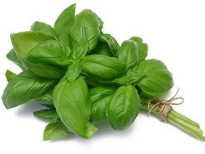 Basil 30g
