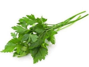 Italian Parsley 30g