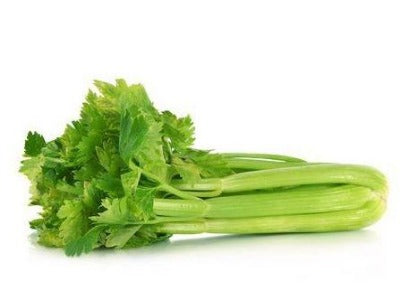 Table Celery bunch