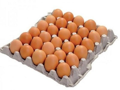Eggs Large Tray 30
