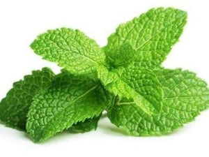 Mint 30g